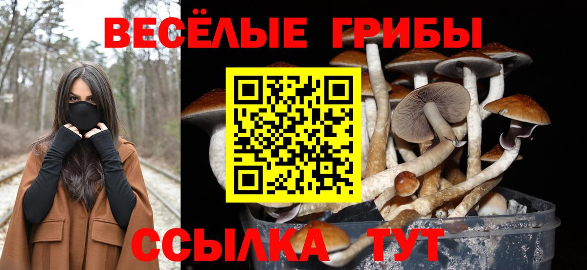 Псилоцибиновые грибы прущие грибы  Вход с VPN  Псилоцибиновые грибы Psilocybine cubensis  Арзамас 