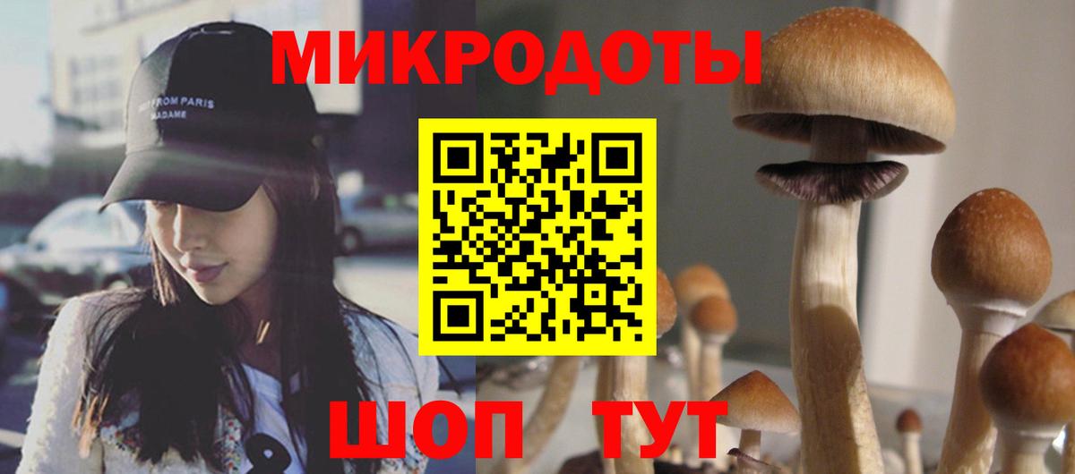 Псилоцибиновые грибы Psilocybe Арзамас